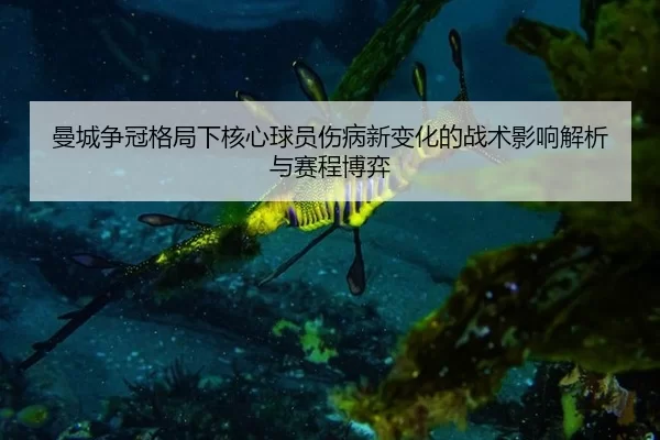 曼城争冠格局下核心球员伤病新变化的战术影响解析与赛程博弈